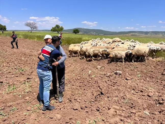 Kırşehir'de kaybolan 65 küçükbaş hayvan bulundu
