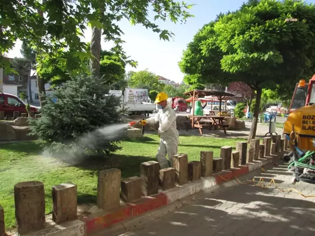 Bozkurt Belediyesi, 2023 İlaçlama Programı ile Sivrisinek ve Haşere Popülasyonunu Kontrol Altına Alıyor