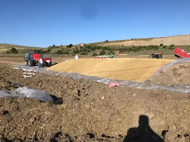 Çorum'un Bayat ilçesinde TMO günlük ortalama 600 ton hububat alımı yapıyor
