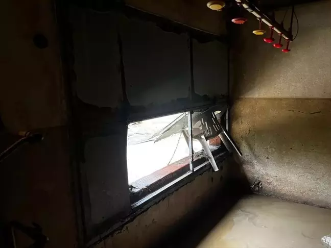 Zonguldak'ta sel: 60 bin tavuk telef oldu