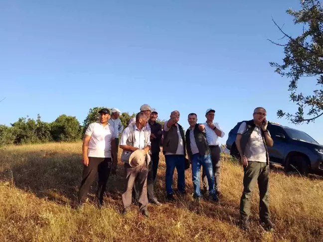 Balıkesir ve Kütahya illeri arasındaki orman yangını kontrol altına alındı