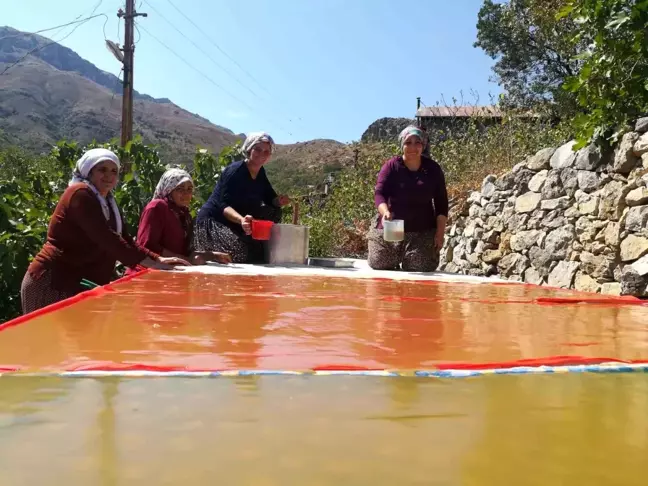 Erzincan'ın Kemaliye ilçesinde kadınlar imece usulü pestil ve pekmez yapıyor