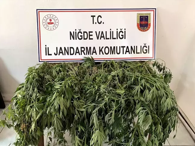 Niğde'de uyuşturucu operasyonunda 6 şüpheli gözaltına alındı