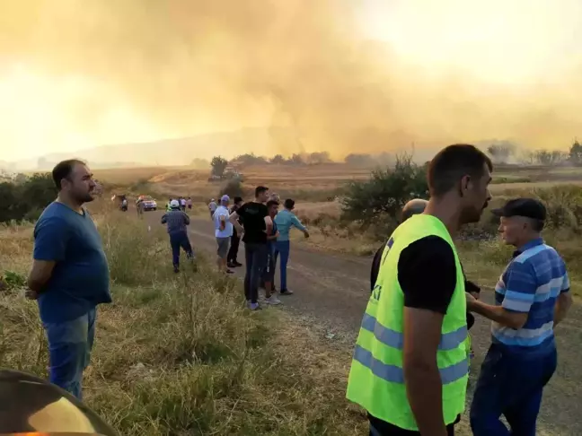Tekirdağ Malkara'da çıkan orman yangını kontrol altına alındı