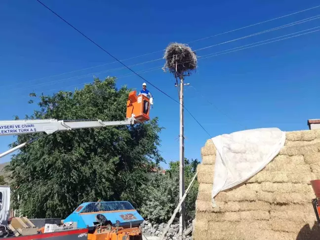 Kayseri'de Yavru Leylek İpiyle Kurtarıldı