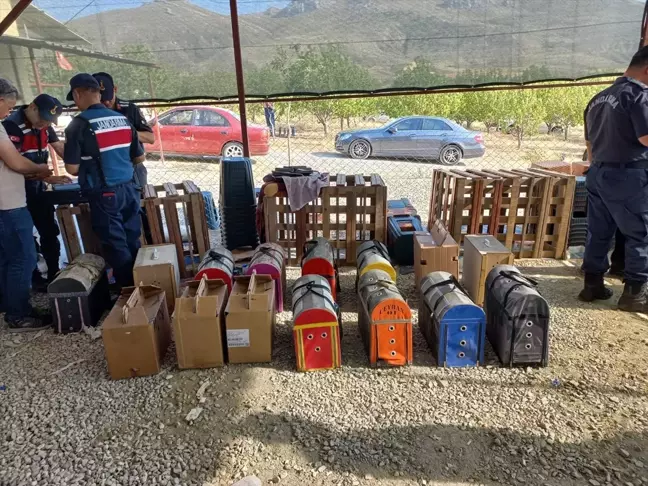 Niğde'de horoz dövüştüren 71 kişi gözaltına alındı, 22 horoza el konuldu