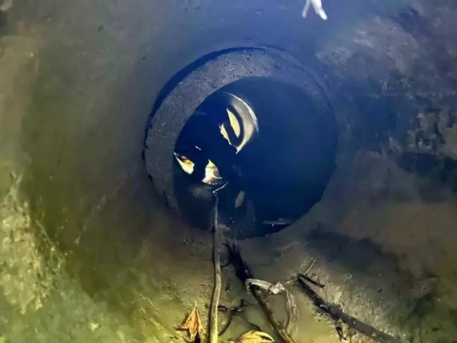 Sinop'ta Kuyuya Düşen Küçükbaş Hayvan Kurtarıldı