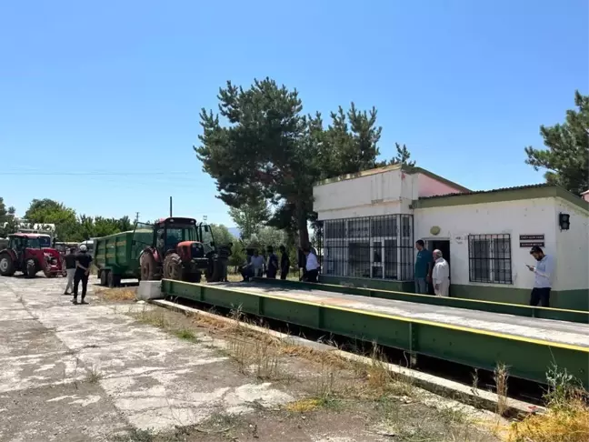 Erzincan'ın Tercan ilçesinde Toprak Mahsulleri Ofisi (TMO) Mercan Şubesi açıldı