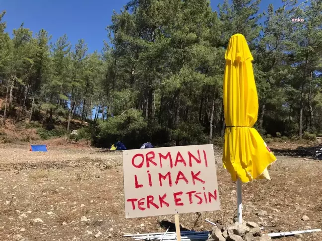 Muğla Valiliği, Akbelen Ormanı'ndaki ağaç kesimi tamamlandı