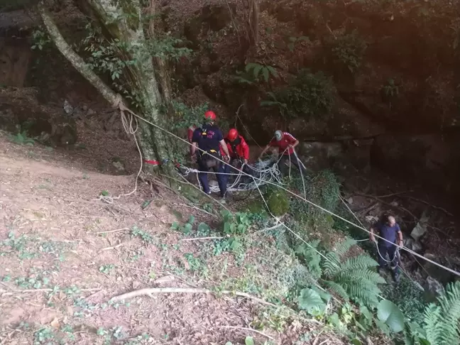 Manyas'ta Mağaraya Düşen Buzağı Kurtarıldı