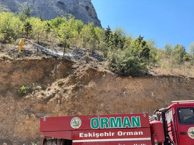 Eskişehir'de Bağ Evinde Çıkan Yangın Kontrol Altına Alındı