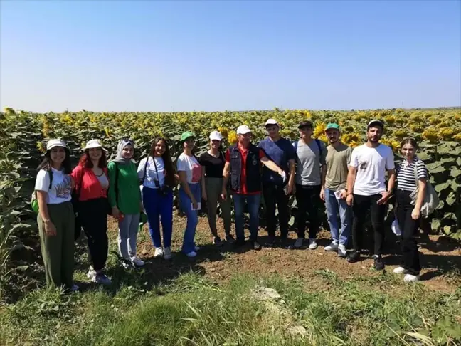 Çanakkale'de Ayçiçeği Tarla Günü Etkinliği Gerçekleştirildi