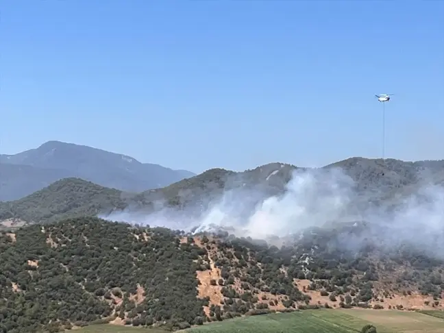 Muğla'da çıkan yangın söndürüldü