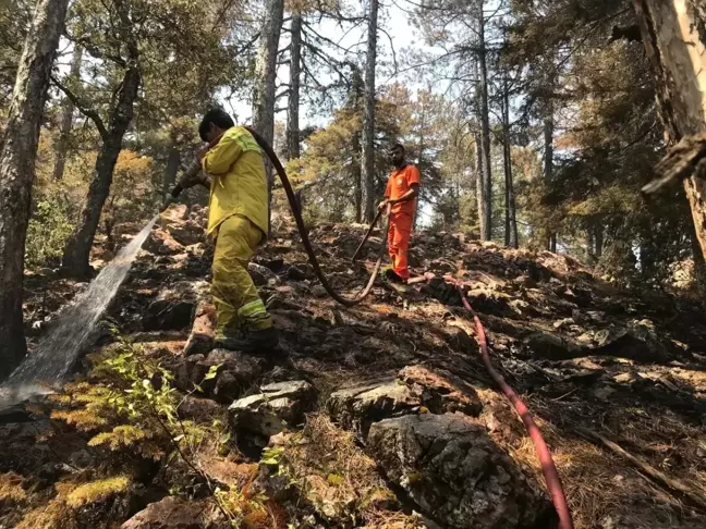 Antalya'da Orman Yangınına Havadan ve Karadan Müdahale Devam Ediyor