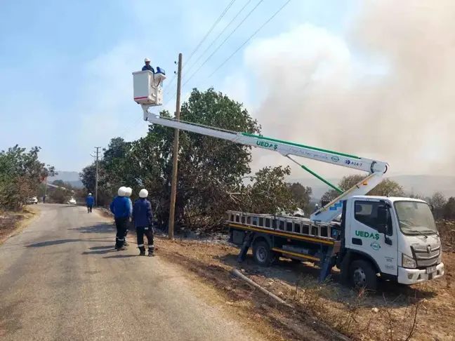 Uludağ Elektrik Dağıtım Anonim Şirketi Çanakkale'deki yangın felaketine yardım eli uzattı