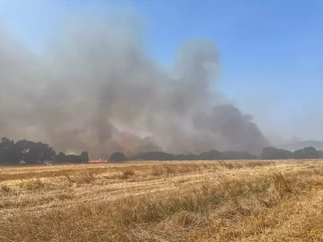 Çanakkale'nin Biga ilçesinde ağaçlık alanda çıkan yangına müdahale ediliyor