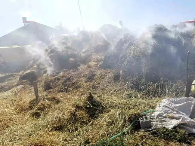 Kars'ta 700 balya ot yandı