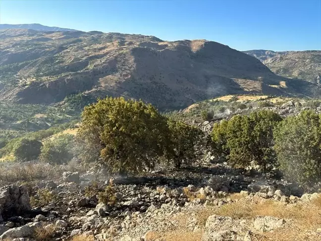 Malatya'nın Pütürge ilçesinde ormanlık alanda çıkan yangın söndürüldü
