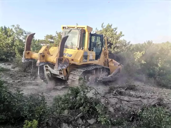 Kütahya'da çıkan orman yangınında yaralananların sağlık durumu iyi