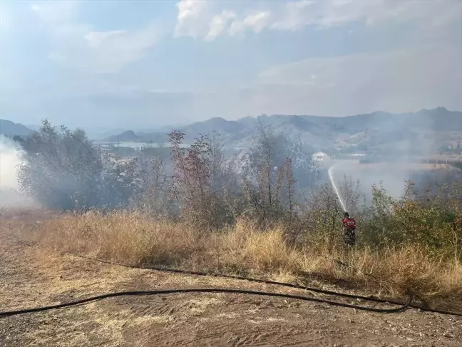 Çorum'un Osmancık ilçesinde çalılık alanda yangın çıktı