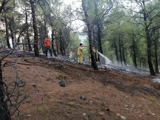 Çorum Kargı'da Ormanlık Alanda Yangın