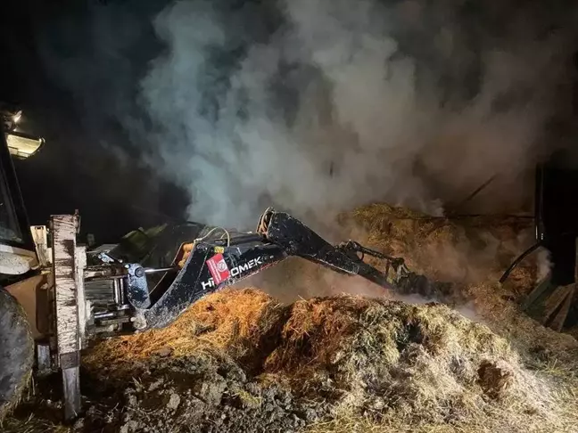 Sakarya'nın Taraklı ilçesinde saman deposunda yangın çıktı