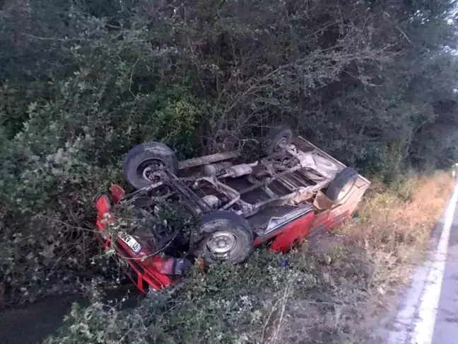 Kastamonu'da Ceylan Kamyonete Çarptı: 1 Ölü, 2 Yaralı