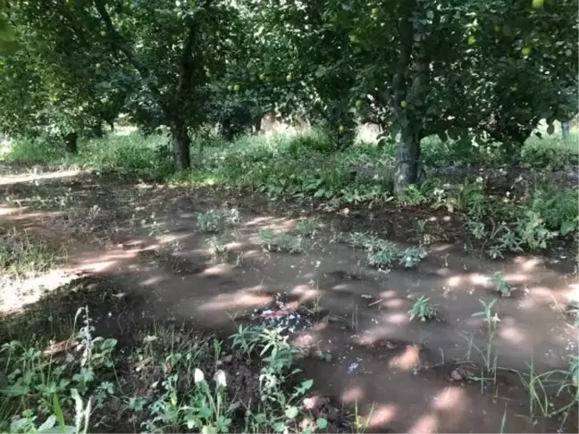 Eğirdir Gölü'nde Su Seviyesi Düşerken Hala Vahşi Sulama Yapılıyor