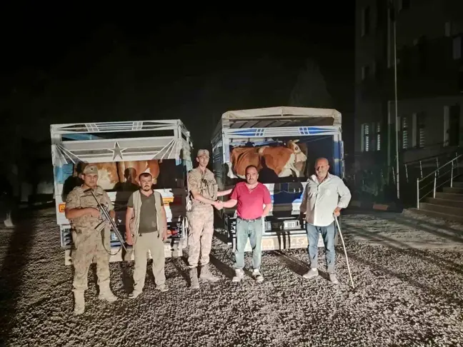 Siirt'te Çalınan Hayvanları Satmaya Çalışan Şahıs Tutuklandı