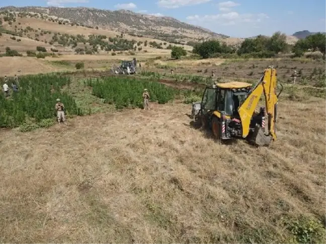 Diyarbakır'da büyük uyuşturucu operasyonu: 2 ton esrar ele geçirildi