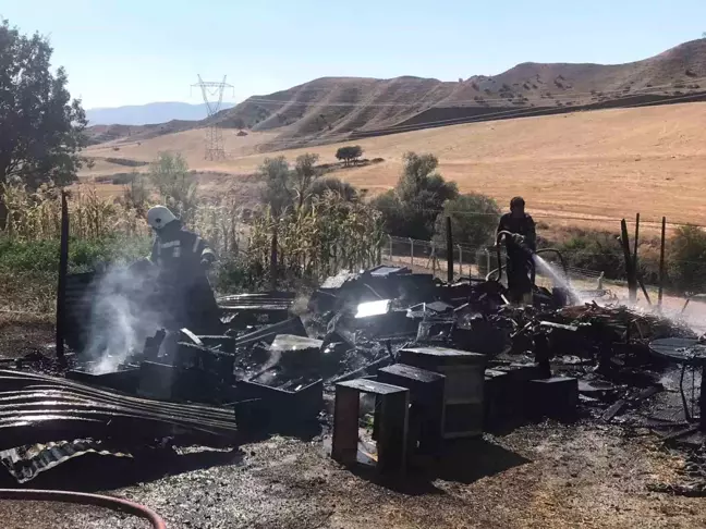 Amasya'da çıkan yangında 20 kovan arı telef oldu