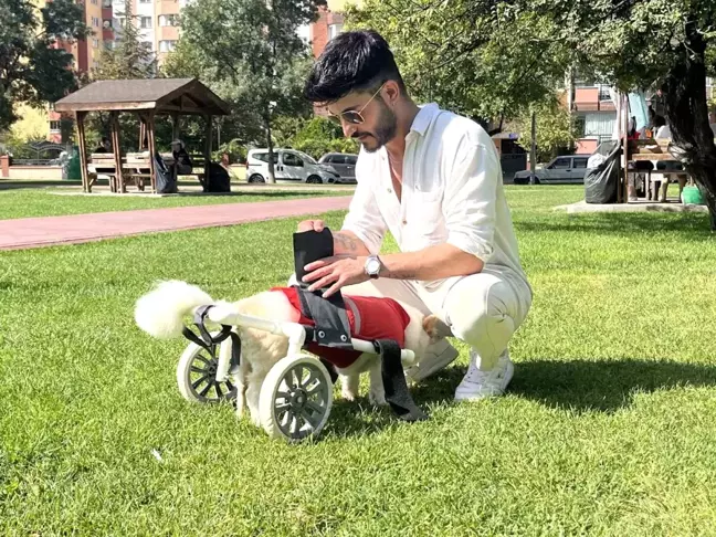 Eskişehir'de Felç Geçiren Köpek Sahibini Müslüman Yaptı
