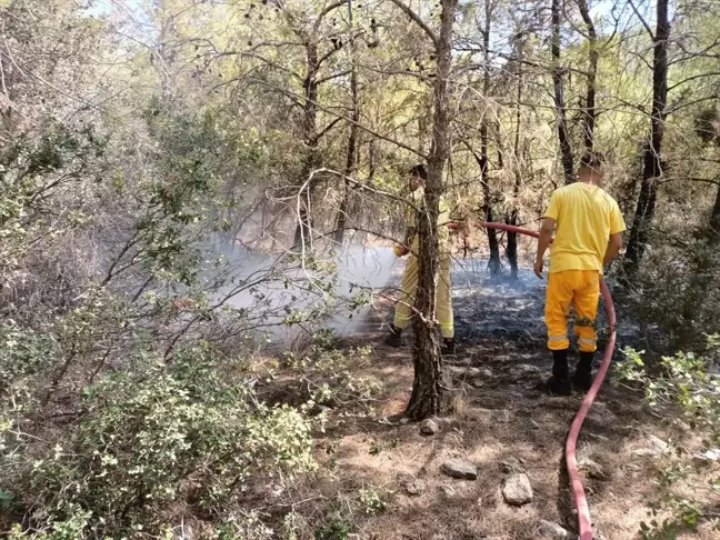Gülnar'da çıkan orman yangını söndürüldü