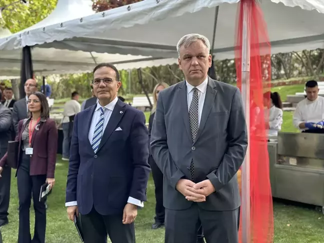 Türkiye AB'ye tam üye olmadan Avrupa'nın birliği tamamlanmayacak