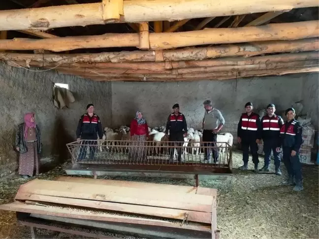 Eskişehir'de Kaybolan 40 Küçükbaş Hayvan Bulundu