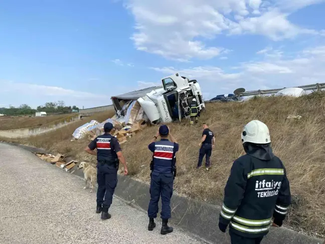 Tekirdağ'da tır şarampole devrildi