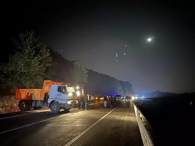 Düzce'de otomobilin çarptığı 3 başıboş at telef oldu