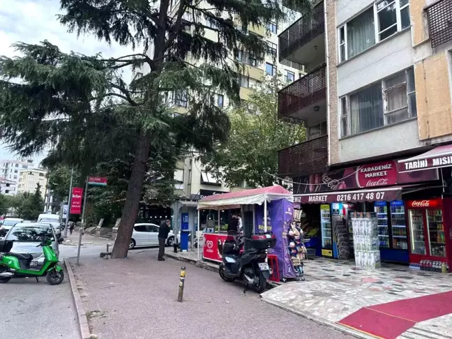 Kadıköy'de mahsur kalan kedi salamla kurtarıldı