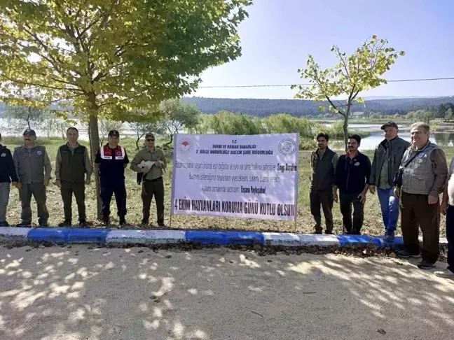 Yaralı Leylek Doğaya Bırakıldı