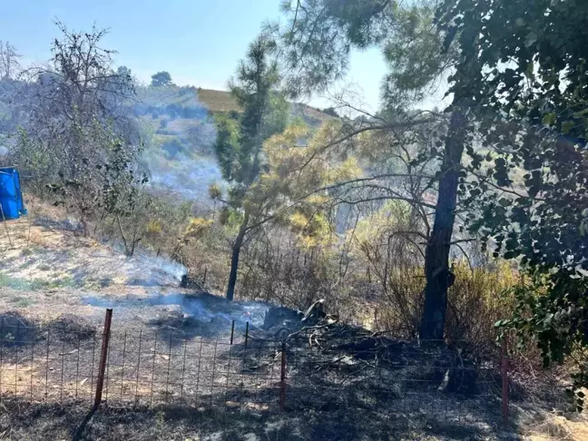 Manavgat'ta çıkan yangında 150 zeytin ağacı ve baraka zarar gördü