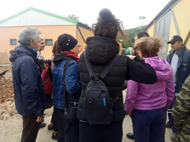 Heybeliada'da Atlara İşkence İddiası Hayvanseverleri Harekete Geçirdi
