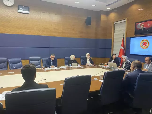TBMM Çocuk Hakları Alt Komisyonu'nda Yeşil Sol Partili Eren'in Zırhlı Araç Çarpması Sonucu Ölen Çocukların Araştırılması Önerisine İyi Partili...