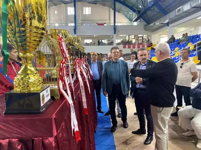 Edremit'te Yorkshire Kanarya Şov Yarışması Büyük İlgi Gördü
