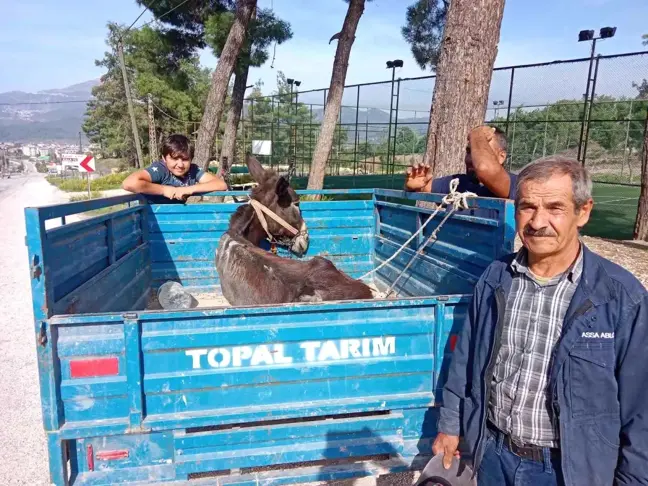 Eşeğin patpat römorkundaki veteriner yolculuğu yürekleri ısıttı