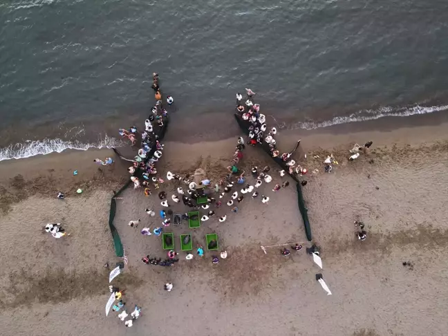 Muğla'da Tedavi Edilen Deniz Kaplumbağaları Denize Bırakıldı
