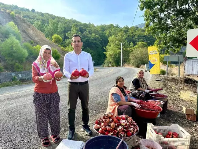 Muğla Ortaca'da Nar Ekşisi Üretimi Hız Kazandı