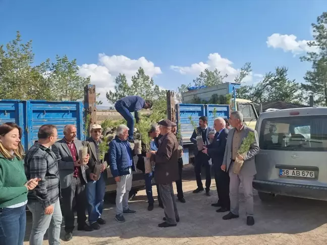 Sivas'ın Ulaş ilçesinde 16 bin fidan toprakla buluşturuldu