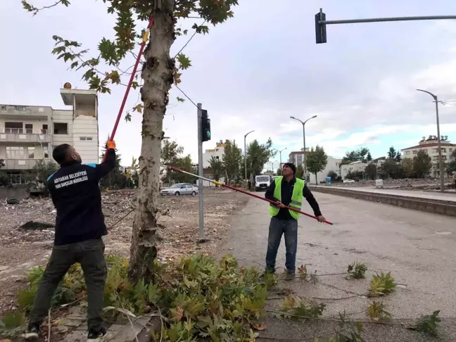 Adıyaman Belediyesi Şehir Genelinde Mevsimsel Budama Çalışmalarına Devam Ediyor