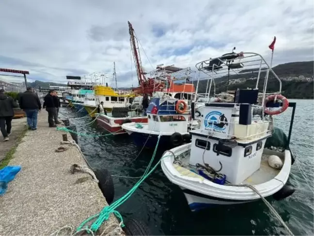 Filyos'taki lojistik gemileri Amasra Limanı'na getirildi