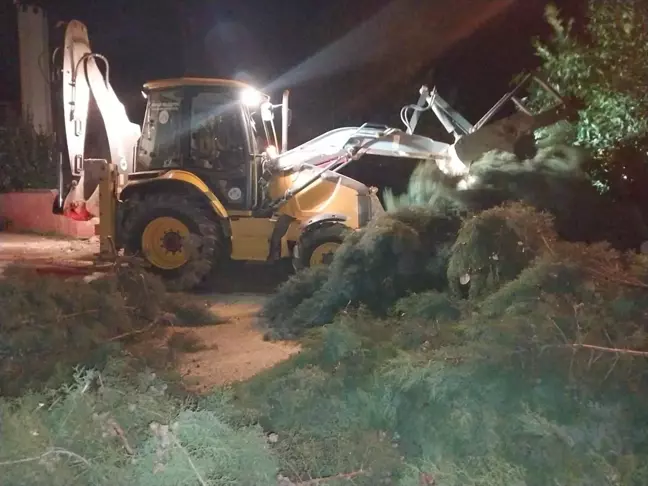 Düzce ve Sakarya'da Kuvvetli Rüzgar Etkili Oldu